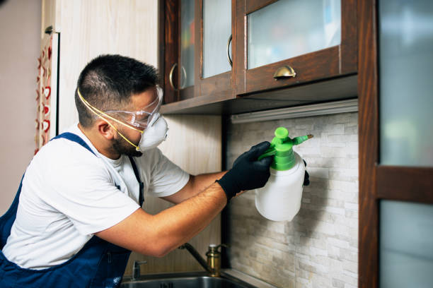 Best Pest Control Cost  in , MS