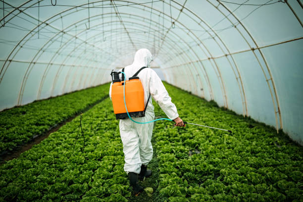 Best Affordable Pest Control Services  in , MS
