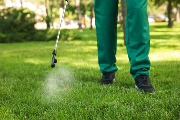 Best Local Pest Control Services  in , MS