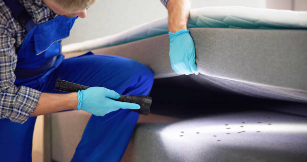 Best Best Pest Control Companies  in , MS