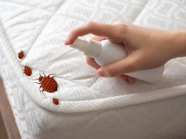 Best Pest Prevention Services  in , MS